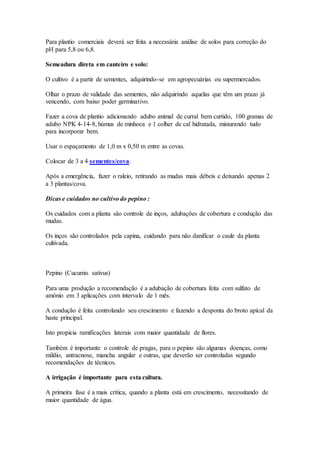 Para plantio comerciais deverá ser feita a necessária análise de solos para correção do
pH para 5,8 ou 6,8.
Semeadura direta em canteiro e solo:
O cultivo é a partir de sementes, adquirindo-se em agropecuárias ou supermercados.
Olhar o prazo de validade das sementes, não adquirindo aquelas que têm um prazo já
vencendo, com baixo poder germinativo.
Fazer a cova de plantio adicionando adubo animal de curral bem curtido, 100 gramas de
adubo NPK 4-14-8, húmus de minhoca e 1 colher de cal hidratada, misturando tudo
para incorporar bem.
Usar o espaçamento de 1,0 m x 0,50 m entre as covas.
Colocar de 3 a 4 sementes/cova.
Após a emergência, fazer o raleio, retirando as mudas mais débeis e deixando apenas 2
a 3 plantas/cova.
Dicas e cuidados no cultivo do pepino :
Os cuidados com a planta são controle de inços, adubações de cobertura e condução das
mudas.
Os inços são controlados pela capina, cuidando para não danificar o caule da planta
cultivada.
Pepino (Cucumis sativus)
Para uma produção a recomendação é a adubação de cobertura feita com sulfato de
amônio em 3 aplicações com intervalo de 1 mês.
A condução é feita controlando seu crescimento e fazendo a desponta do broto apical da
haste principal.
Isto propicia ramificações laterais com maior quantidade de flores.
Também é importante o controle de pragas, para o pepino são algumas doenças, como
míldio, antracnose, mancha angular e outras, que deverão ser controladas segundo
recomendações de técnicos.
A irrigação é importante para esta cultura.
A primeira fase é a mais crítica, quando a planta está em crescimento, necessitando de
maior quantidade de água.
 