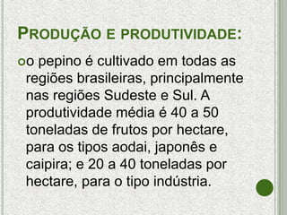 PRODUÇÃO E PRODUTIVIDADE:
o pepino é cultivado em todas as
regiões brasileiras, principalmente
nas regiões Sudeste e Sul. A
produtividade média é 40 a 50
toneladas de frutos por hectare,
para os tipos aodai, japonês e
caipira; e 20 a 40 toneladas por
hectare, para o tipo indústria.
 