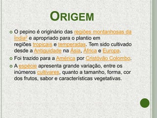 ORIGEM
 O pepino é originário das regiões montanhosas da
Índia2 e apropriado para o plantio em
regiões tropicais e temperadas. Tem sido cultivado
desde a Antiguidade na Ásia, África e Europa.
 Foi trazido para a América por Cristóvão Colombo.
 A espécie apresenta grande variação, entre os
inúmeros cultivares, quanto a tamanho, forma, cor
dos frutos, sabor e características vegetativas.
 