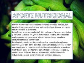 El fruto maduro es utilizado como alimento cocinado o crudo, con
agradable sabor entre el pepino y pimiento dulce. Uno de los guisos
más frecuentes es el relleno.
Estos frutos se conservan hasta 5 días en lugares frescos y ventilados,
y por unos 15 días a 7°C y 95% de humedad relativa. Mientras está
maduro posee un color verde intenso homogéneo y pasada su
madurez comienza a amarillear.
Esta hortaliza es rica en fibra por lo cual se recomienda regímenes
dietéticos, por otra parte estudios en universidades peruanas indican
que es útil para el tratamiento de la hipercolesterolemia, además se
le atribuyen otros efectos tales como hipoglucemiante, analgésica,
antioxidante, diabetes. Por sus propiedades medicinales en la
industria se procesa generalmente en forma de cápsulas.
 