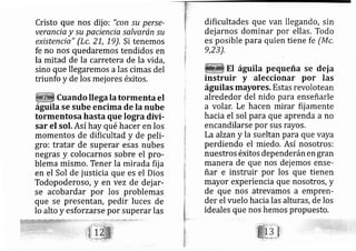 Cristo que nos dij o: "con su perse-
verancia y su pac encia salvarán su
existencia" (Lc. 21-, 19). Si tenemos
fe no nos quedaremos tendidos en
la mitad de la carretera de la vida,
sino que llegaremos al s cimas del
triunfo y delos mej ores éxitos,
Cuando lle gala tormenta el
águila se sube encima de la nube
tormentosa hasta que logra divi-
sar el sol. Así hay qué hacer en los
momentos de dificultad y de peli-
gro: tratar de superar esas nubes
negras y colo carnos sobre el pro-
blema mismo. Tener la mirada fij a
en el Sol de justicia que es el Dios
Todopoderoso, y en vez de dej ar-
se acobardar por los problemas
que se presentarl, pedir luces de
lo alto y esforzarse por superar las
es posible para quien tiene fe (Mc,
9,23).
El águila pequeña se deja
instruir y aleccionar por las
águilas mayores. Estas revolotean
alrededor del nido para enseñarle
a volar. Le hacen mirar fij amente
hacia el sol para que aprenda a no
encandilarse por sus rayos,
Laalzany la sueltan para que vaya
perdiendo el miedo. Así nosotros:
nuestros éxitos dependerán en gran
manera de que nos dej emos ense-
ñar e instruir por los que tienen
mayor experiencia que nosotros, y
de que nos atrevamos a empren-
der el vuelo hacia las alturas, de los
ideales que nos hemos propuesto.
'-:-,:'- "i-'
dificultades que van llegando, sin
dejarnos dominar por ellas. Todo
 