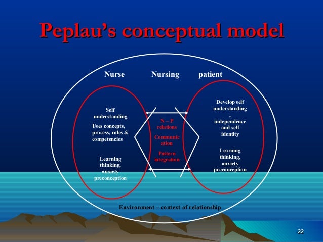 Peplau S Theory