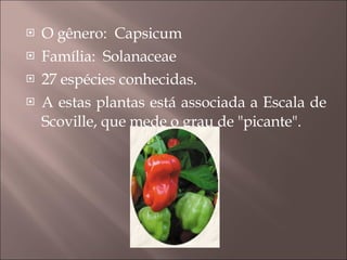 O gênero:  Capsicum Família:  Solanaceae 27 espécies conhecidas.  A estas plantas está associada a Escala de Scoville, que mede o grau de "picante".  