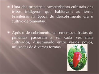 Uma das principais características culturais das tribos indígenas que habitavam as terras brasileiras na época do descobrimento era o cultivo de pimentas.  Após o descobrimento, as sementes e frutos de pimentas passaram a ser cada vez mais cultivados, disseminado entre vários povos, utilizadas de diversas formas. 