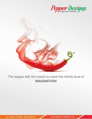 Ad agency Pepper designs presentation-2012