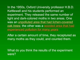 In the 1950s, Oxford University professor H.B.D.
Kettlewell and his students performed an
experiment. They released the same number of
light and dark-colored moths in two areas. One
was an unpolluted area that had lichen-coveredunpolluted area that had lichen-covered
oak treesoak trees;; the other was a wooded area that hadwooded area that had
experienced pollution for many yearsexperienced pollution for many years.
After a certain amount of time, they recaptured as
many moths as they could, and counted them.
What do you think the results of the experiment
were?
 