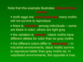 Note that this example illustrates Darwin's fourDarwin's four
points:points:
• moth eggs are over-produced;over-produced; many moths
will not survive to reproduce.
• there is variationvariation among individuals -- some
are black in color, others are light gray
• the variation is geneticgenetic –black moths have
different alleles for color than do gray moths
• the different colors differ in advantageadvantage-- in
industrial environments, black moths survive
to reproduce better than gray moths do. In
unpolluted environments, the opposite is true.
 