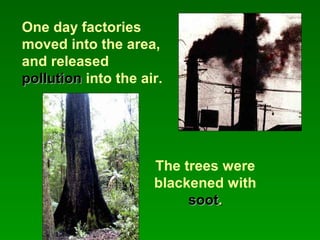 One day factories
moved into the area,
and released
pollutionpollution into the air.
The trees were
blackened with
sootsoot..
 