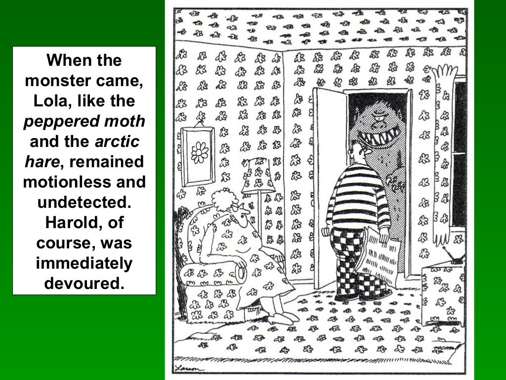 Peppered Moth peppered-moth