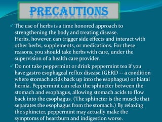  The use of herbs is a time honored approach to
  strengthening the body and treating disease.
  Herbs, however, can trigger side effects and interact with
  other herbs, supplements, or medications. For these
  reasons, you should take herbs with care, under the
  supervision of a health care provider.
 Do not take peppermint or drink peppermint tea if you
  have gastro esophageal reflux disease (GERD -- a condition
  where stomach acids back up into the esophagus) or hiatal
  hernia. Peppermint can relax the sphincter between the
  stomach and esophagus, allowing stomach acids to flow
  back into the esophagus. (The sphincter is the muscle that
  separates the esophagus from the stomach.) By relaxing
  the sphincter, peppermint may actually make the
  symptoms of heartburn and indigestion worse.
 