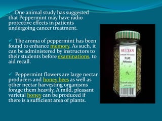  One animal study has suggested
that Peppermint may have radio
protective effects in patients
undergoing cancer treatment.

 The aroma of peppermint has been
found to enhance memory. As such, it
can be administered by instructors to
their students before examinations, to
aid recall.

 Peppermint flowers are large nectar
producers and honey bees as well as
other nectar harvesting organisms
forage them heavily. A mild, pleasant
varietal honey can be produced if
there is a sufficient area of plants.
 