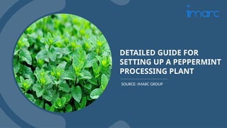 Peppermint Processing Plant Project Report.pptx