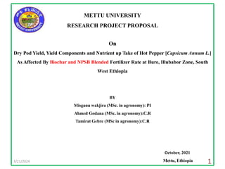 METTU UNIVERSITY
RESEARCH PROJECT PROPOSAL
On
Dry Pod Yield, Yield Components and Nutrient up Take of Hot Pepper [Capsicum Annum L.]
As Affected By Biochar and NPSB Blended Fertilizer Rate at Bure, Illubabor Zone, South
West Ethiopia
BY
Misganu wakjira (MSc. in agronomy): PI
Ahmed Godana (MSc. in agronomy):C.R
Tamirat Gebre (MSc in agronomy):C.R
October, 2021
Mettu, Ethiopia
3/21/2024 1
 