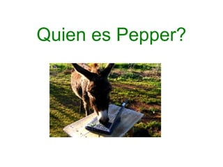 Quien es Pepper? 