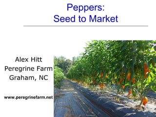Peppers:
Seed to Market
Alex Hitt
Peregrine Farm
Graham, NC
www.peregrinefarm.net
 