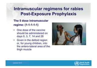 Health Statistics and Informatics
The 5 dose intramuscular
regime: (1-1-1-1-1)
•  One dose of the vaccine
should be administered on
days 0, 3, 7, 14 and 28
•  Given in the deltoid region
or, for young children, into
the antero-lateral area of the
thigh muscle
Updated 2014
Intramuscular regimens for rabies
Post-Exposure Prophylaxis
 