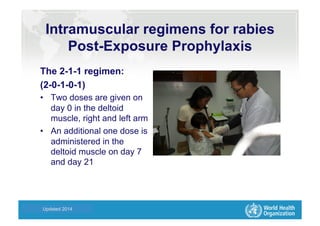 Health Statistics and Informatics
The 2-1-1 regimen:
(2-0-1-0-1)
•  Two doses are given on
day 0 in the deltoid
muscle, right and left arm
•  An additional one dose is
administered in the
deltoid muscle on day 7
and day 21
Updated 2014
Intramuscular regimens for rabies
Post-Exposure Prophylaxis
 