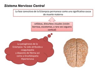 Sistema Nervioso Central
La fase convulsiva de la Eclampsia permanece como una significativa causa
de muerte materna
cefaleas, disturbios visuales (visión
borrosa, escotomas, y rara vez ceguera
cortical)
La patogénesis de la
Eclampsia ha sido atribuida a
coagulopatía
y deposito de fibrina así
como a Encefalopatía
Hipertensiva
 