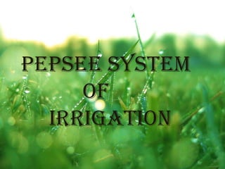 Pepsee System
     Of
  Irrigation
 