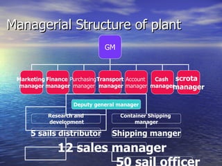 Managerial Structure of plant GM Marketing  manager Finance  manager Purchasing  manager Transport manager Cash  manager Account  manager scrota  manager Deputy general manager Research and development Container Shipping  manager Shipping manger 5 sails distributor 12 sales manager 50 sail officer 
