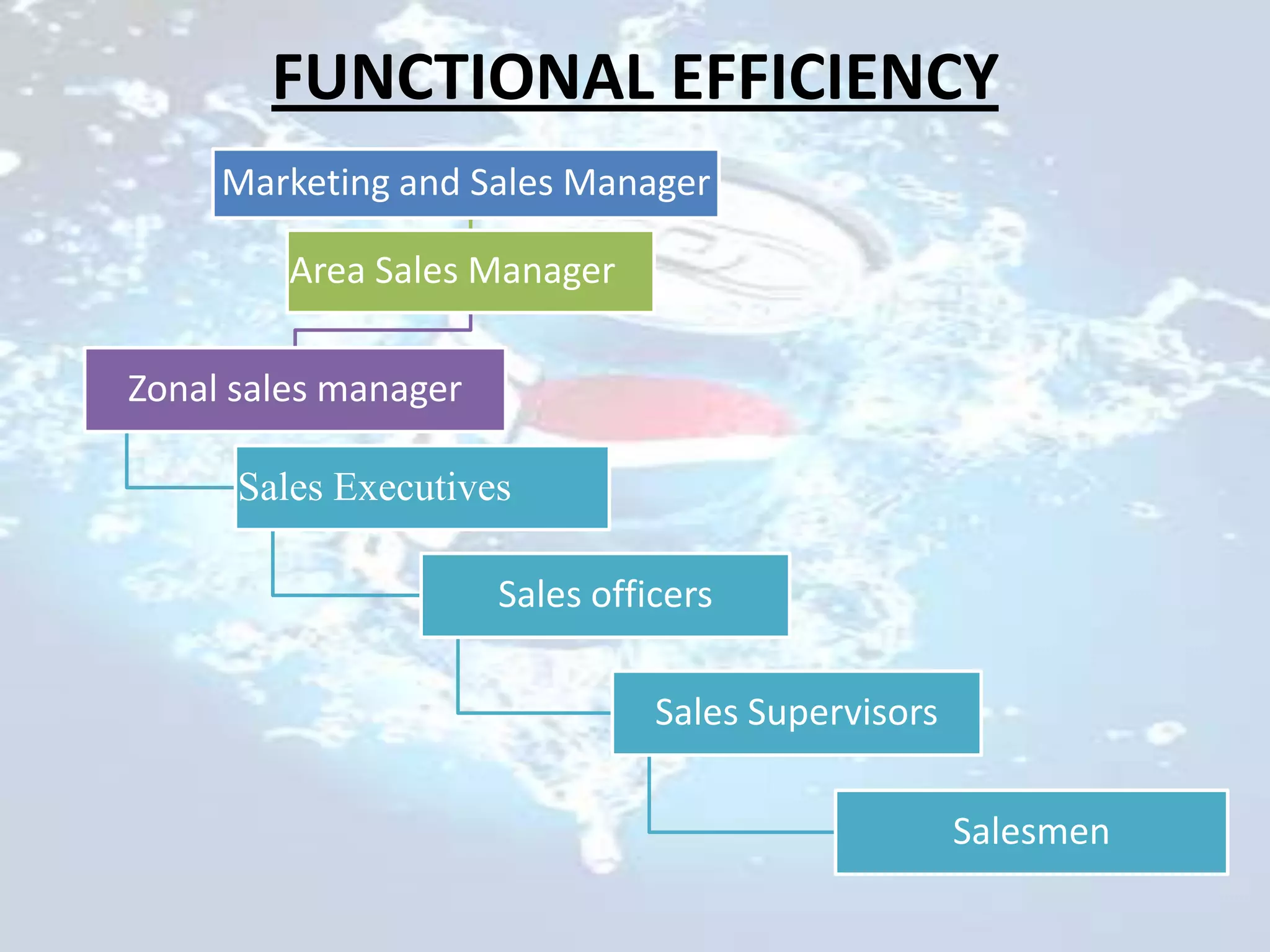FUNCTIONAL EFFICIENCY
     Marketing and Sales Manager

         Area Sales Manager

Zonal sales manager

      Sales Executives

                      Sales officers

                                Sales Supervisors

                                                    Salesmen
 