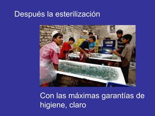 Después la esterilización Con las máximas garantías de higiene, claro 