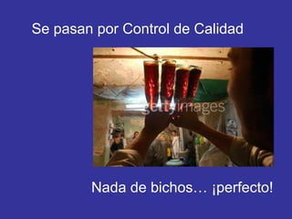 Se pasan por Control de Calidad Nada de bichos… ¡perfecto! 