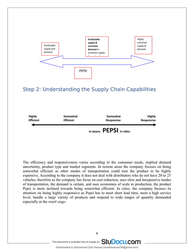 pepsilogistics.pdf Logistics Business