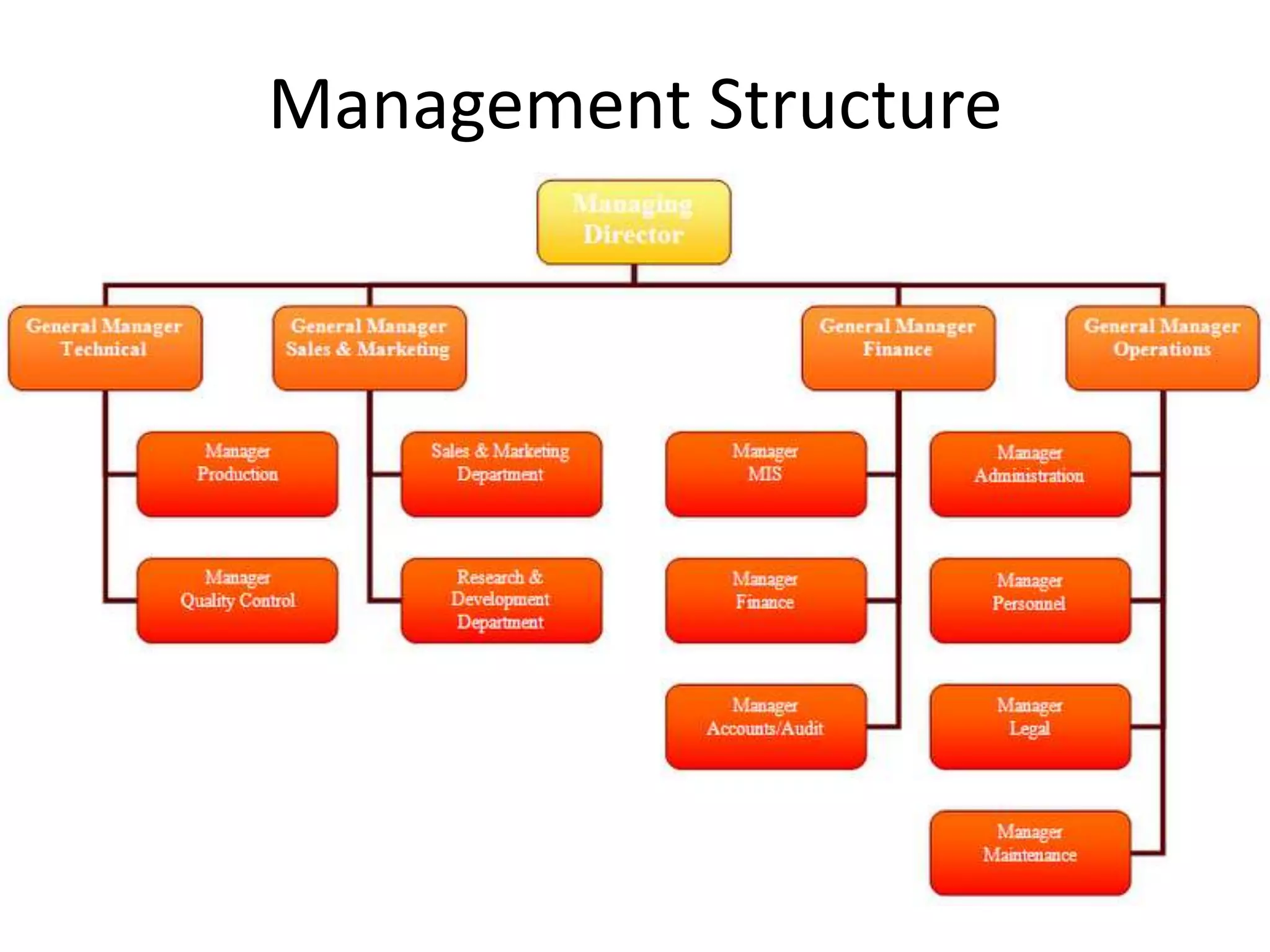 Management Structure

 