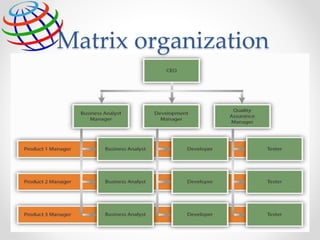 28
Matrix organization
 