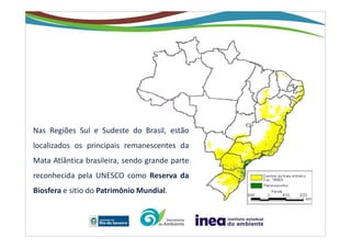 Nas Regiões Sul e Sudeste do Brasil, estão
localizados os principais remanescentes da
Mata Atlântica brasileira, sendo grande parte
reconhecida pela UNESCO como Reserva da
Biosfera e sítio do Patrimônio Mundial.
 