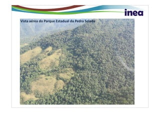 Vista aérea do Parque Estadual da Pedra Selada
 