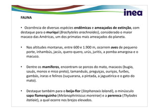 FAUNA

• Ocorrência de diversas espécies endêmicas e ameaçadas de extinção, com
destaque para o muriqui (Brachyteles arachnoides), considerado o maior
macaco das Américas, um dos primatas mais ameaçados do planeta.

•   Nas altitudes montanas, entre 600 e 1.900 m, ocorrem aves de pequeno
    porte, inhambús, jacús, quero-quero, urús, juritis, a pomba amargosa e o
    macuco.

•   Dentre os mamíferos, encontram-se porcos do mato, macacos (bugio,
    sauás, monos e mico preto), tamanduás, preguiças, ouriços, furões,
    gambás, iraras e felinos (suçuarana, a pintada, a jaguatirica e o gato do
    mato).

•   Destaque também para o beija-flor (Stephanoxis lalandi), o minúsculo
    sapo flamenguinho (Melanophriniscus moreirae) e a perereca (Thylodes
    itatiaie), a qual ocorre nos brejos elevados.
 
