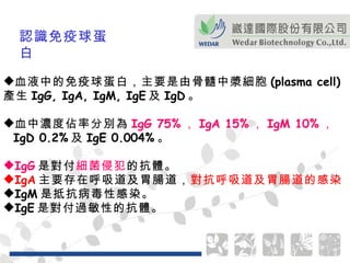 血液中的免疫球蛋白，主要是由骨髓中漿細胞 (plasma cell) 產生 IgG, IgA, IgM, IgE 及 IgD 。 血中濃度佔率分別為 IgG 75% ， IgA 15% ， IgM 10% ， IgD 0.2% 及 IgE 0.004% 。 IgG 是對付 細菌侵犯 的抗體。 IgA 主要存在呼吸道及胃腸道， 對抗呼吸道及胃腸道的感染 IgM 是抵抗病毒性感染。 IgE 是對付過敏性的抗體。 認識免疫球蛋白 