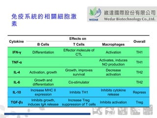 免疫系統的相關細胞激素 TH1 Activation Effector molecule of CTL Differentiation IFN- γ TH1 Activates, induces NO production TNF- α Inhibits growth, induces IgA release Increase MHC II expression Growth and differentiation Activation, growth B Cells Treg Inhibits activation Increase Treg suppression of T cells TGF- β 1 Repress Inhibits cytokine release Inhibits TH1 IL-10 TH2 Co-stimulator IL-6 TH2 Decrease activation Growth, improves survival IL-4 Overall Macrophages T Cells Effects on Cytokine 