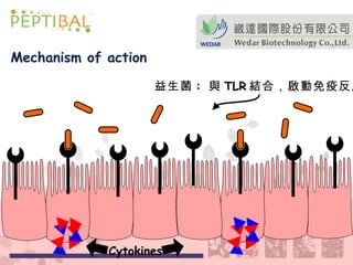 益生菌 :  與 TLR 結合，啟動免疫反應 Cytokines Mechanism of action 