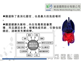 腸道除了是消化器官，也是最大的免疫場所。 腸道健康失衡時，內生性毒素就會累 積，而且運送全身，破壞免疫系統，引發包括癌症、過敏等多種病變。 