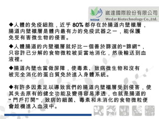 人體的免疫細胞，近乎 80% 都存在於腸道内壁襯層， 腸道内壁襯層是體内最有力的免疫武器之一，能保護 免受有害微生物的侵害。 人體腸道的内壁襯層就好比一個善於篩選的“篩網”， 只容許已分解的食物微粒被妥當地消化，然後輸送到血 液裡。 腸道內壁也當做屏障，使毒素、致病微生物和沒有 被完全消化的蛋白質免於進入身體系統。 有許多因素足以導致我們的腸道内壁襯層受到侵害，使 其失去原有的健全功能及變得容易滲透，也就是腸道的 “ 門戶打開”，致病的細菌、毒素和未消化的食物微粒便 會趁機進入血液中。   