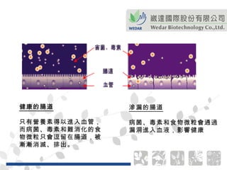 健康的腸道 只有營養素得以進入血管， 而病菌、毒素和難消化的食 物微粒只會逗留在腸道，被 漸漸消滅、排出。   滲漏的腸道 病菌、毒素和食物微粒會通過 漏洞進入血液，影響健康   