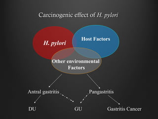 Carcinogenic effect ofCarcinogenic effect of H. pyloriH. pylori
H. pylori
Host Factors
Other environmental
Factors
Antral gastritis Pangastritis
DU GU Gastritis Cancer
 