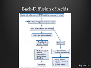 Back-Diffusion of AcidsBack-Diffusion of Acids
Fig. 40-13
 