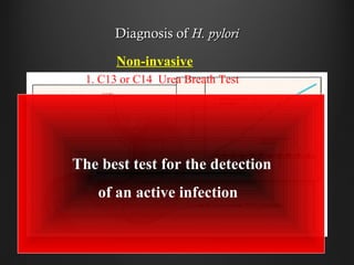 Diagnosis ofDiagnosis of H. pyloriH. pylori
Non-invasive
1. C13 or C14 Urea Breath Test
The best test for the detection
of an active infection
 
