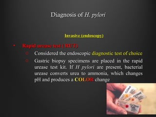 Diagnosis ofDiagnosis of H. pyloriH. pylori
Invasive (endoscopy)Invasive (endoscopy)
• Rapid urease test ( RUT)Rapid urease test ( RUT)
o Considered the endoscopicConsidered the endoscopic diagnostic test of choicediagnostic test of choice
o Gastric biopsy specimens are placed in the rapidGastric biopsy specimens are placed in the rapid
urease test kit. Ifurease test kit. If H pyloriH pylori are present, bacterialare present, bacterial
urease converts urea to ammonia, which changesurease converts urea to ammonia, which changes
pH and produces apH and produces a CCOOLLOORR changechange
 
