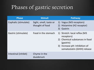 Phases of gastric secretionPhases of gastric secretion
Phase Stimuli Pathway
Cephalic (stimulate) Sight, smell, taste or
thought of food
1) Vagus (M3 receptors)
2) Histamine (H2 receptor)
3) Gastrin
Gastric (stimulate) Food in the stomach 1) Stretch: local reflex (M3
receptors)
2) Chemical substances in food
(gastrin)
3) Increase pH: Inhibition of
somatostatin (GHIH) release
Intestinal (inhibit) Chyme in the
duodenum
 