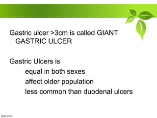 Gastric ulcer >3cm is called GIANT
GASTRIC ULCER
Gastric Ulcers is
equal in both sexes
affect older population
less common than duodenal ulcers
 