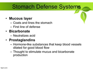 Stomach Defense Systems
• Mucous layer
– Coats and lines the stomach
– First line of defense
• Bicarbonate
– Neutralizes acid
• Prostaglandins
– Hormone-like substances that keep blood vessels
dilated for good blood flow
– Thought to stimulate mucus and bicarbonate
production
 