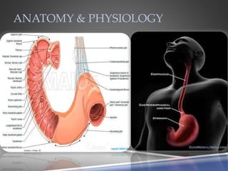 ANATOMY & PHYSIOLOGY
 