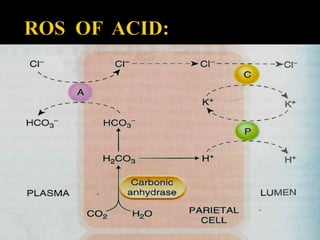 Ulcerease Chemical Equation Peptic ulcer | PPTX