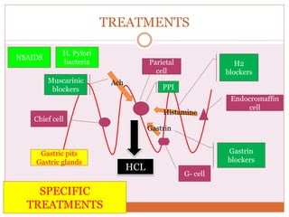 TREATMENTS
Gastric pits
Gastric glands
Chief cell
Parietal
cell
G- cell
Endocromaffin
cell
HCL
Ach
Histamine
Gastrin
PPI
Gastrin
blockers
H2
blockers
Muscarinic
blockers
SPECIFIC
TREATMENTS
NSAIDS
H. Pylori
bacteria
 