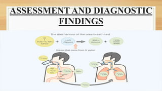 ASSESSMENT AND DIAGNOSTIC
FINDINGS
 